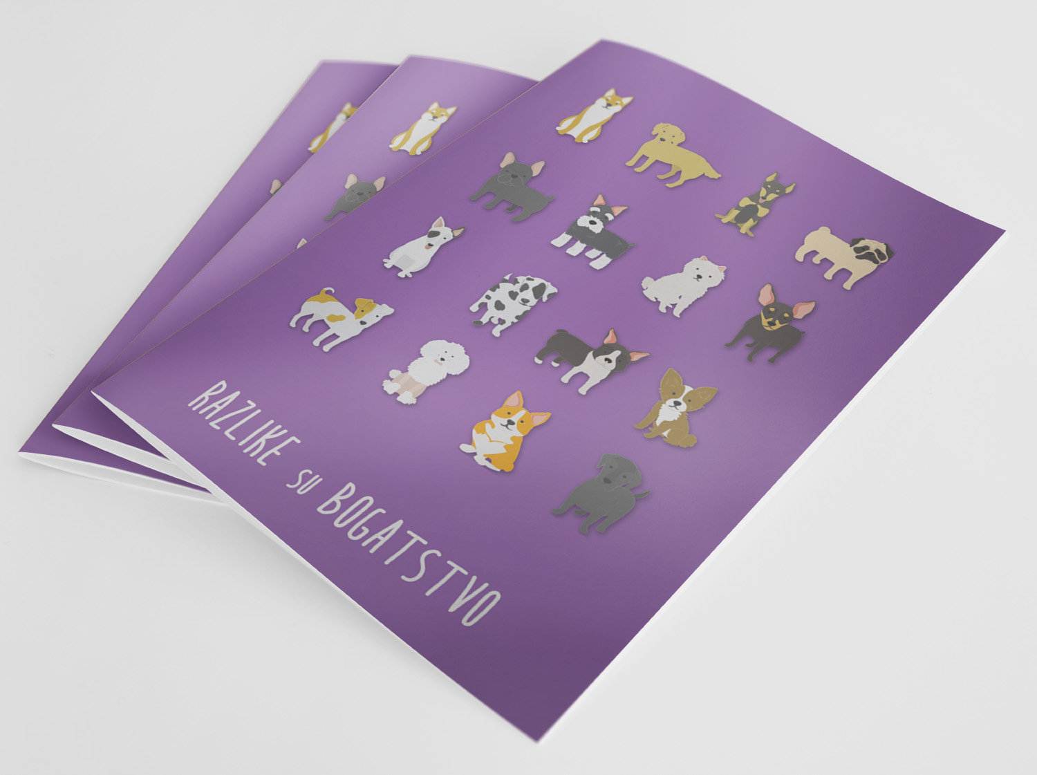 Naslagane Posebne bilježnice - razlike su bogatstvo